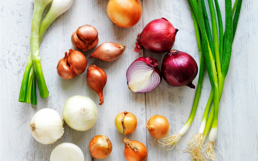Know Your Onions: A Guide to the Different Onion Varieties