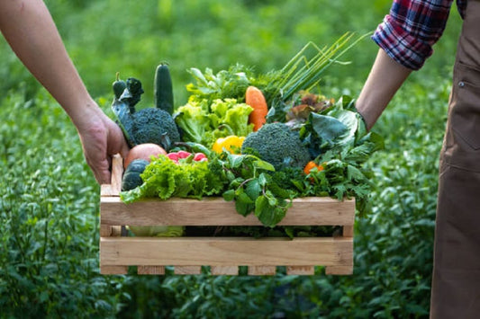 From Farm to Table: How Gertrude Grocer Sources the Freshest Winter Produce in Victoria