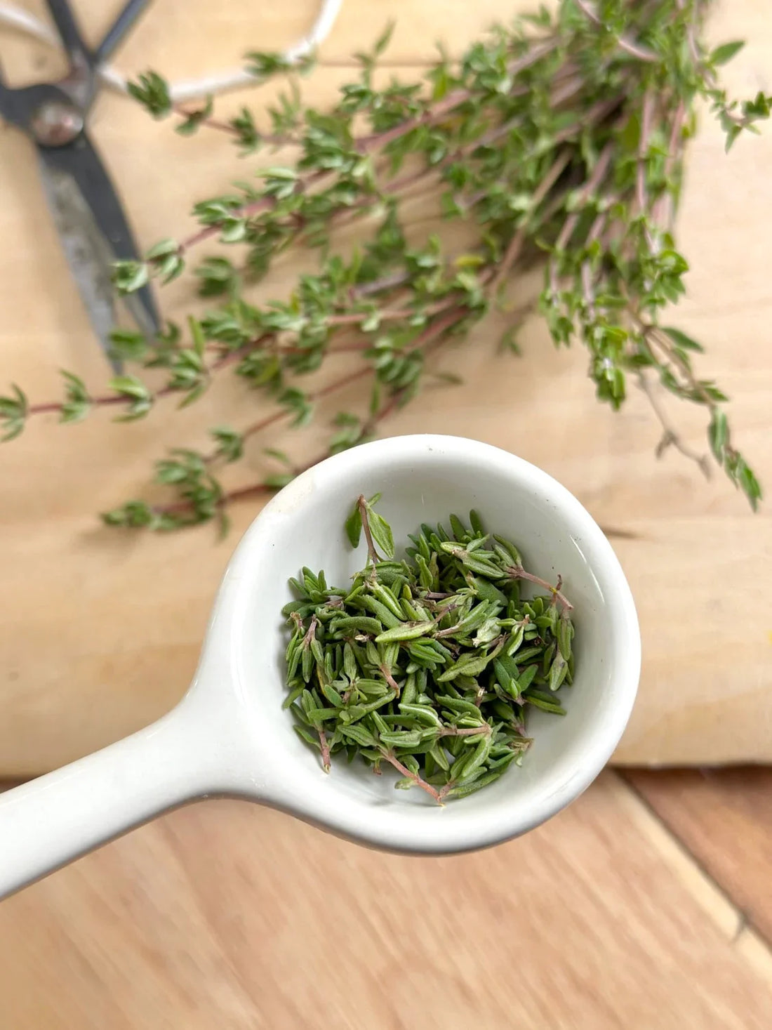 Thyme: What to Use This Season – Our Guide to a Versatile Herb