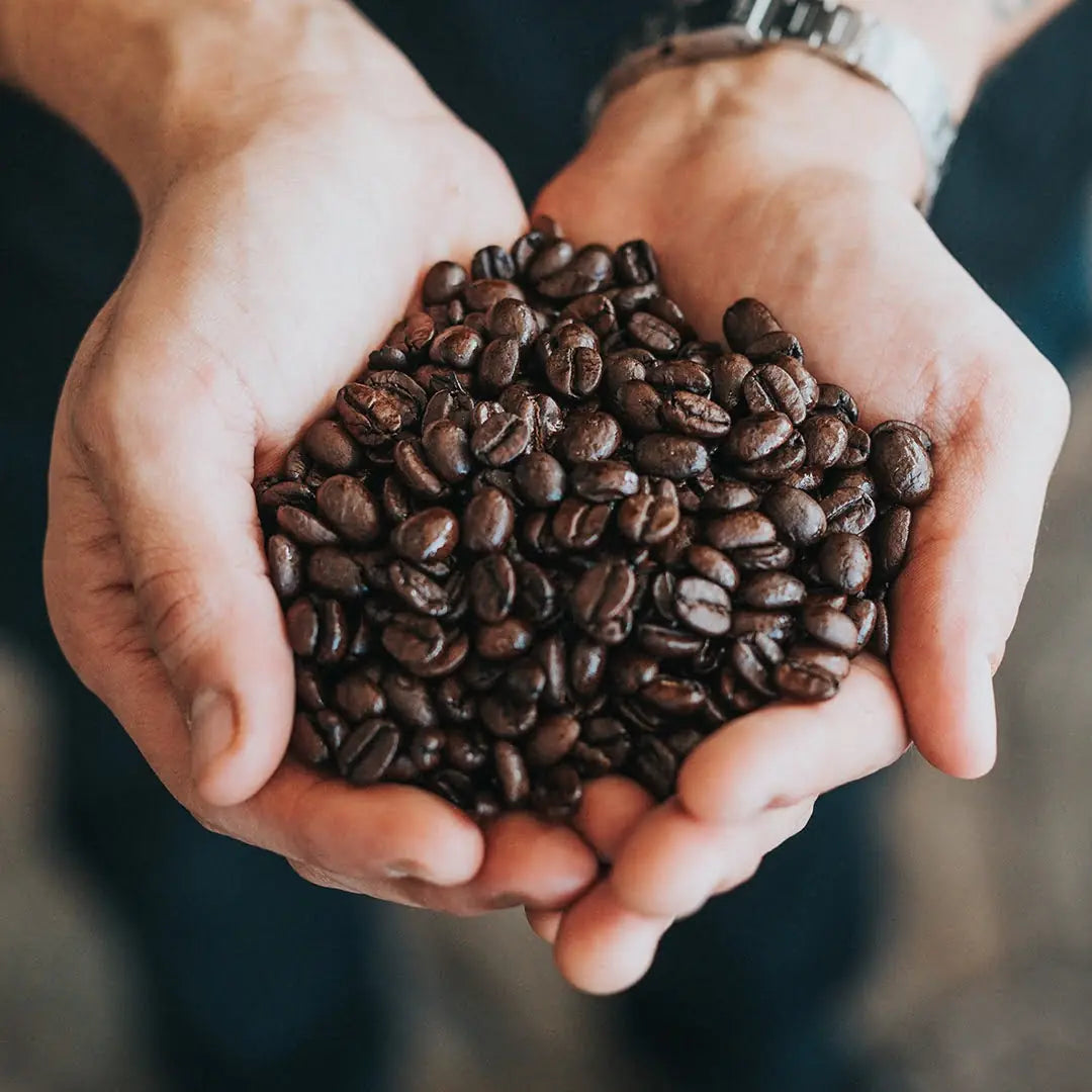 Coffee Break: Discover Dukes, Proud Mary, St Ali & Bean Cartel Coffee at Gertrude Grocer